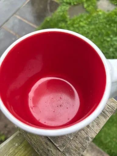 Tim Hortons Traveler's Collection Mug — Buffalo — inside